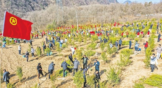 陕西青少年省级植树护绿示范活动举行