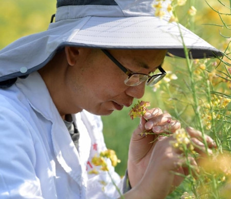 为春添色 助民致富——“花痴”博士的18载坚守